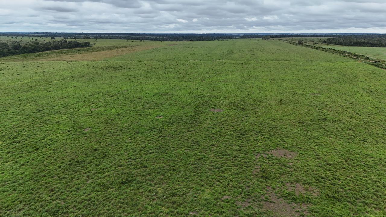 WhatsApp Image 2026-03-02 at 15.50.16 (2)