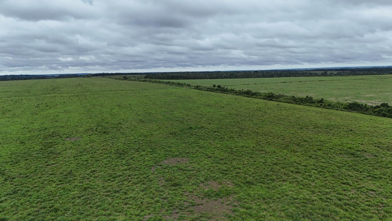 WhatsApp Image 2026-03-02 at 15.50.16