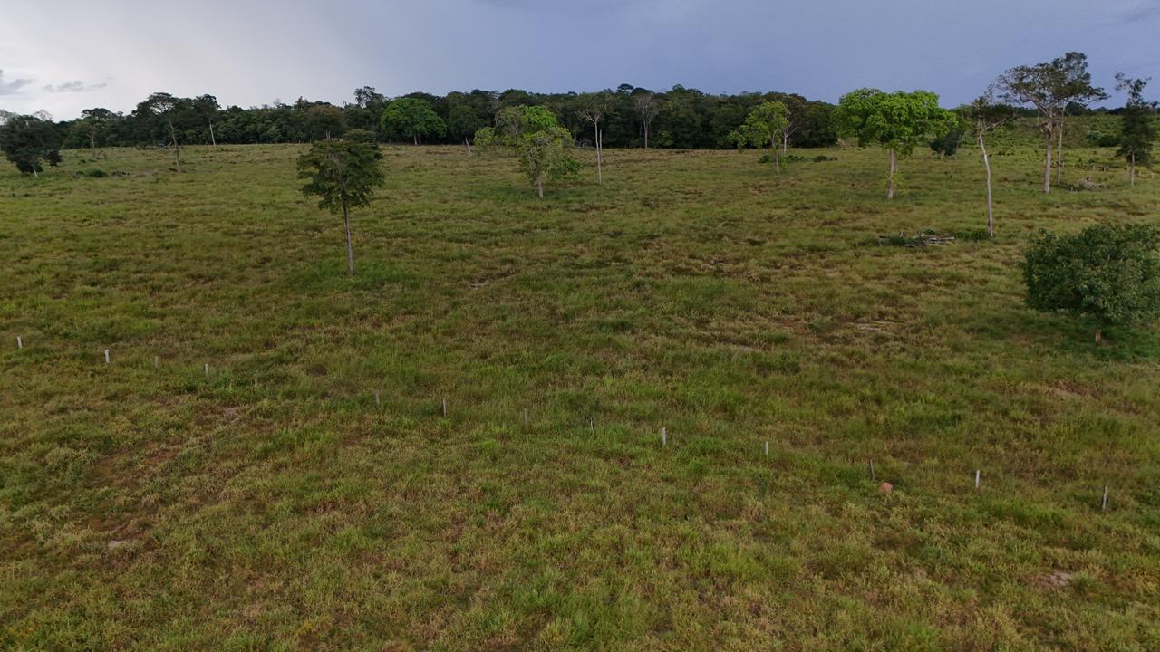 WhatsApp Image 2026-03-10 at 07.56.59 (1)