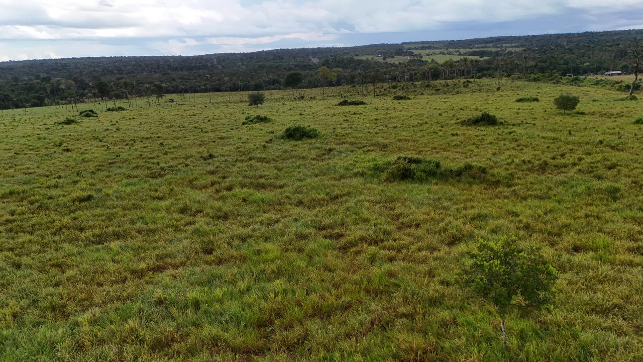 WhatsApp Image 2026-03-10 at 07.57.00 (1)