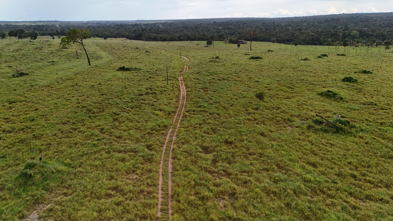 WhatsApp Image 2026-03-10 at 07.57.00