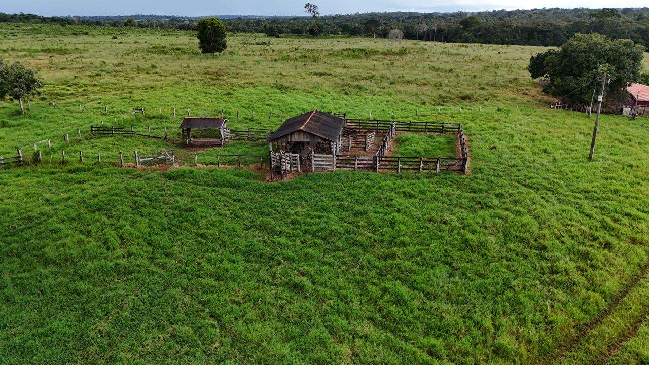 WhatsApp Image 2026-03-10 at 07.57.01 (1)