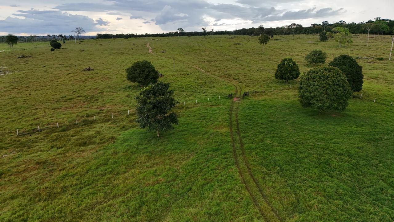 WhatsApp Image 2026-03-10 at 07.57.02