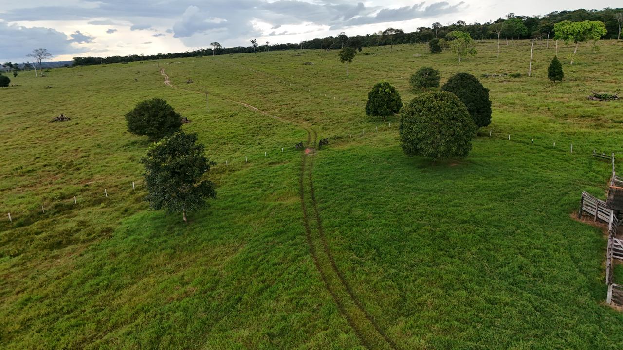 WhatsApp Image 2026-03-10 at 07.57.03